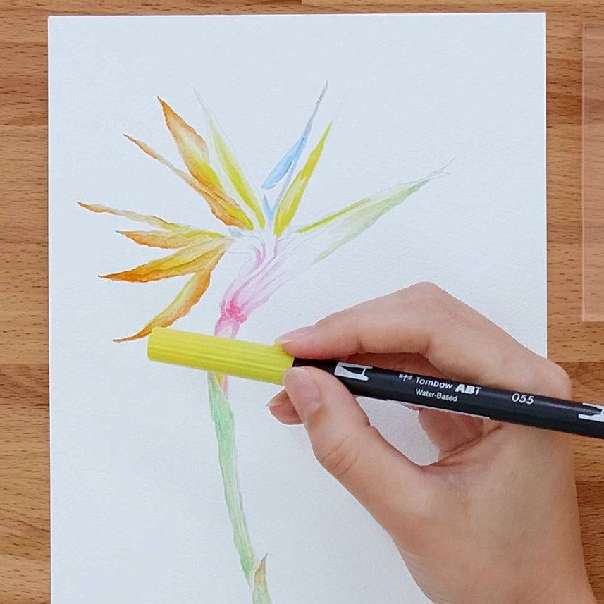 Tombow Dual Brush Pen Illustration – Bird of Paradise