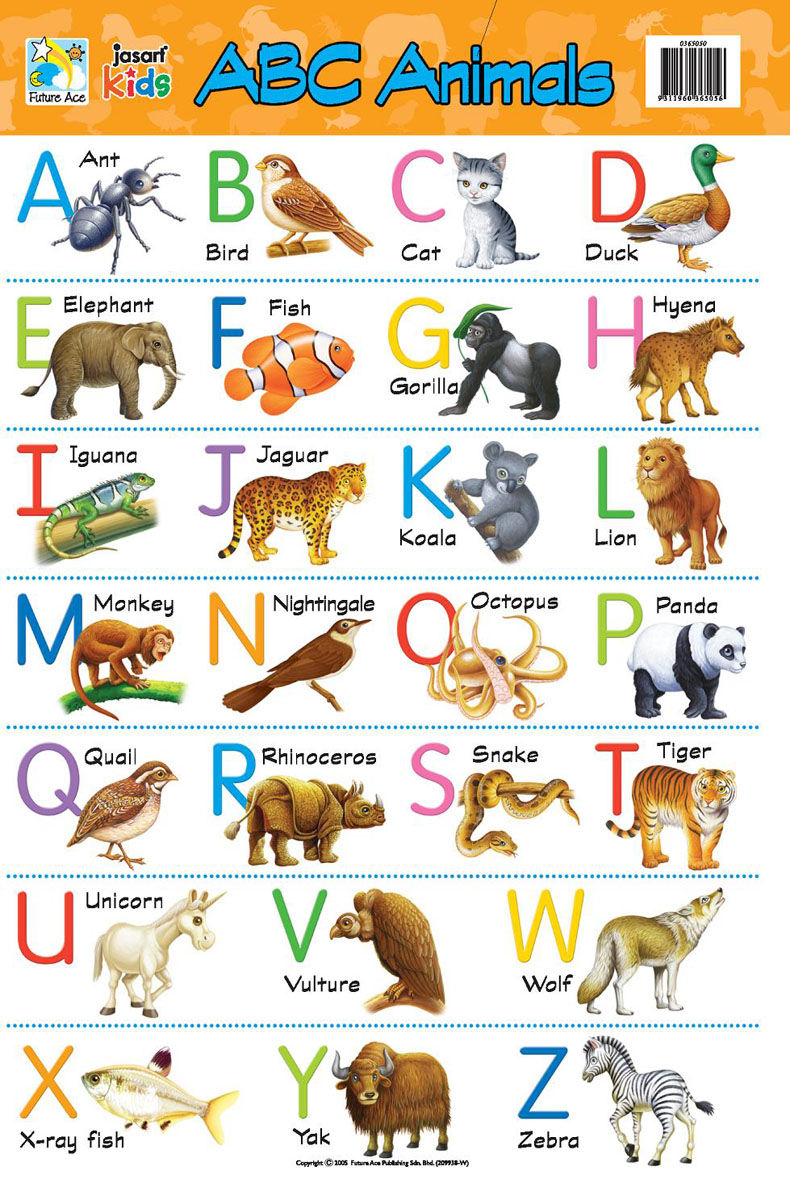 Animals Name In English Birds For Kids Sign Language Words